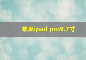 苹果ipad pro9.7寸